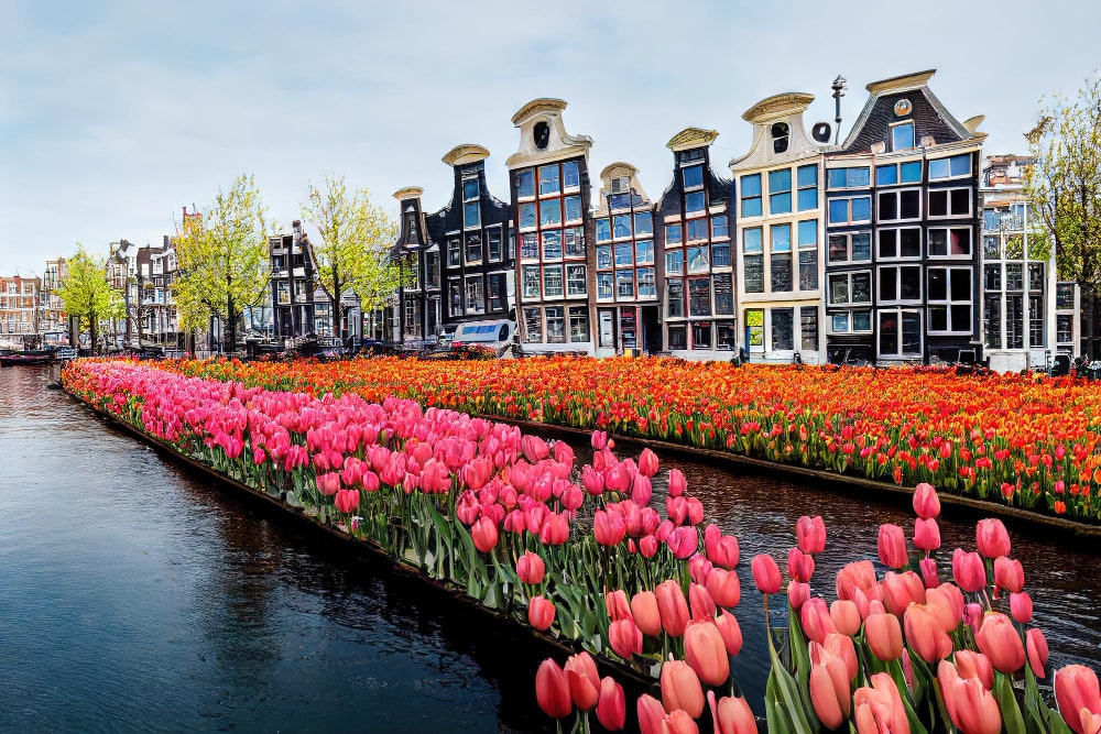 Alkmaar, Netherlands 1-min