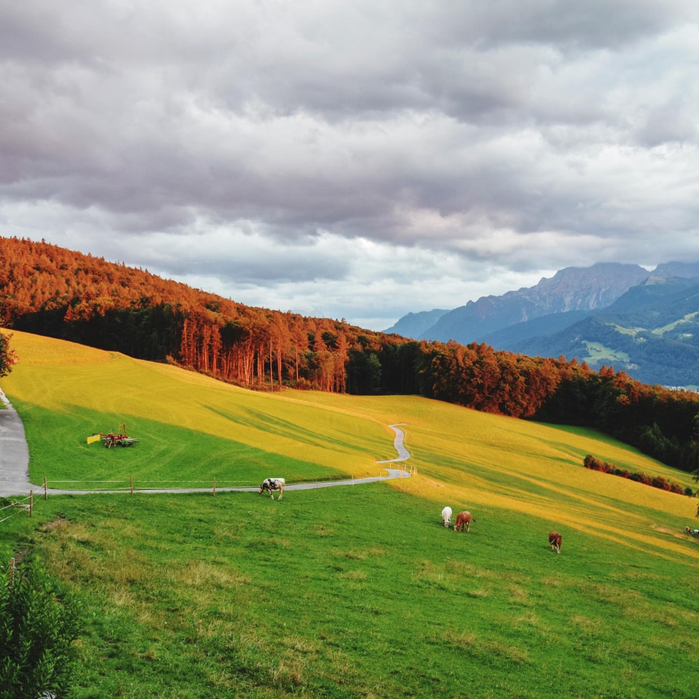 Salzburger Land 5-min