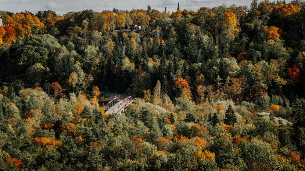 Teutoburg Forest 2-min