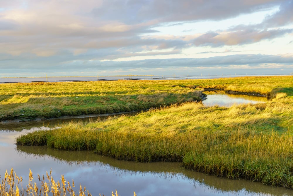 Wangerooge 4-min